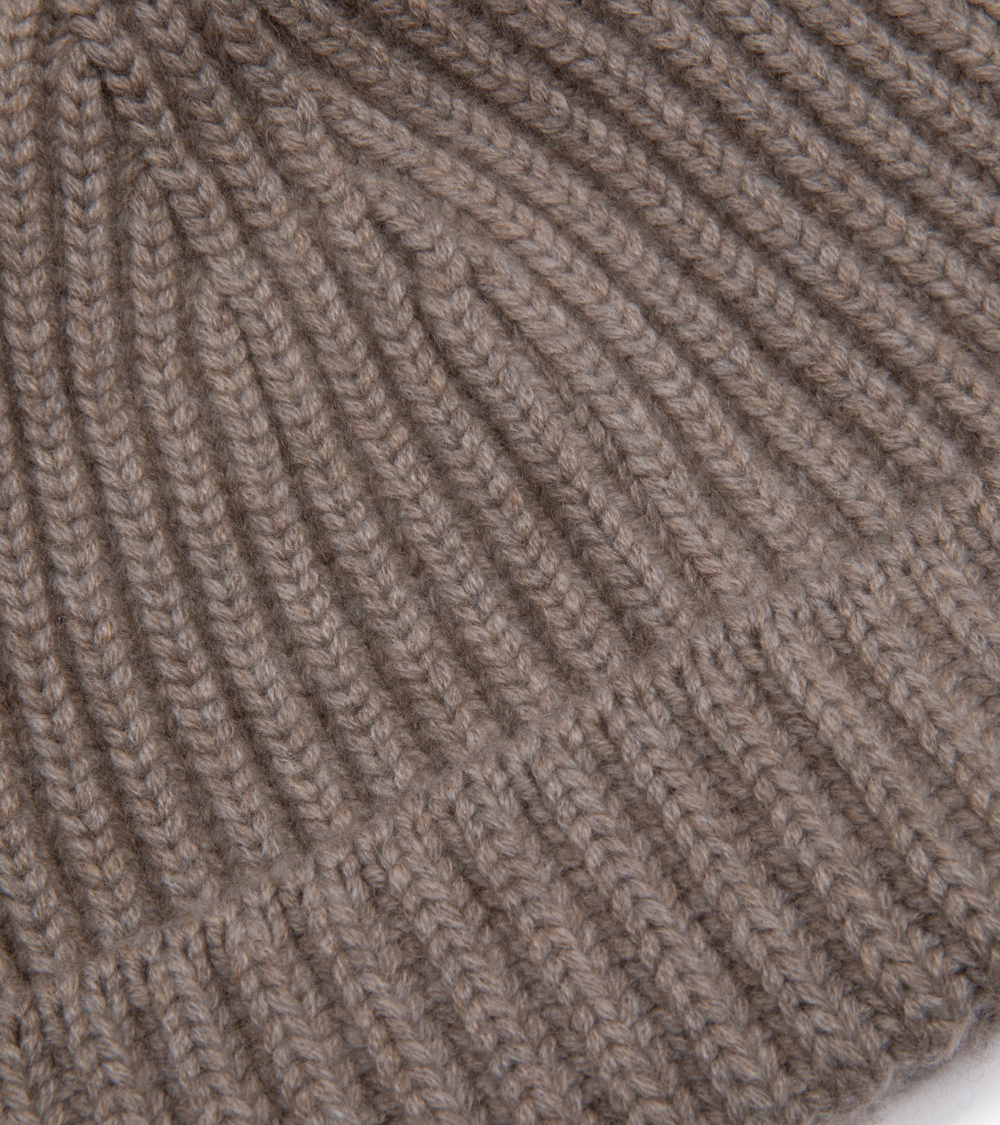 Trunk Ribbed Cashmere Beanie: Vole