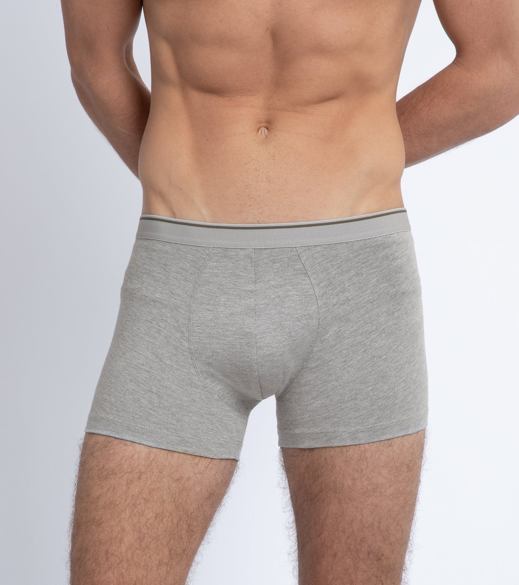 Trunk 2 Pack Organic Cotton Boxer Briefs: Grey Marl - Trunk Clothiers